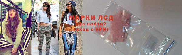 индика Алзамай