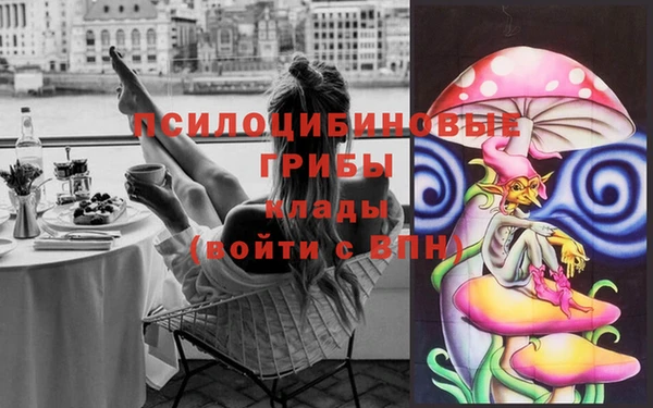 индика Алзамай