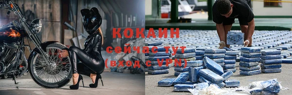 индика Алзамай