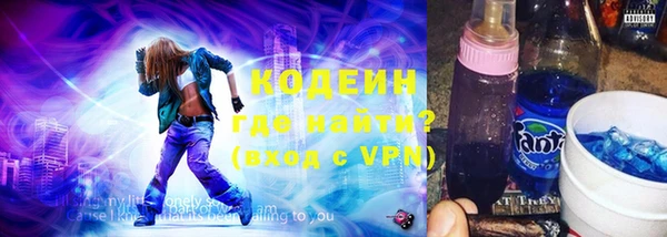 индика Алзамай