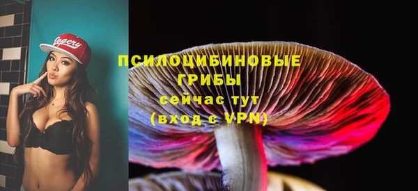 индика Алзамай