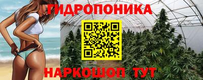 Альфа ПВП Лесосибирск